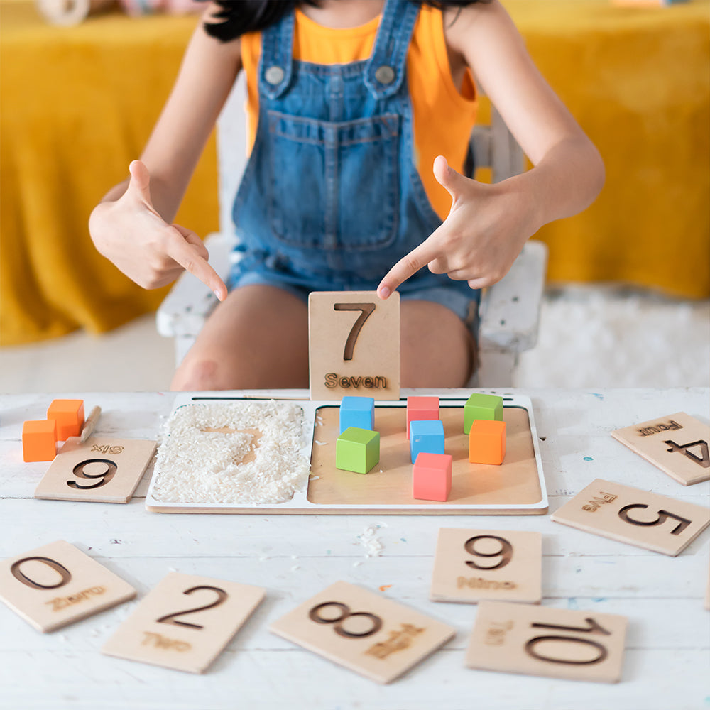 Montessori Number Literacy Educational Game