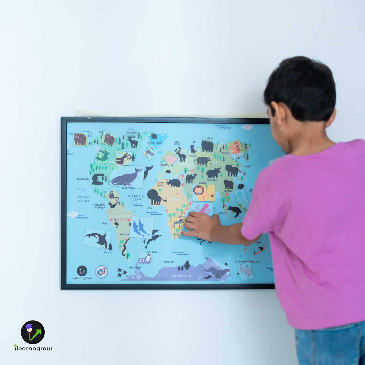 ilearnngrow - Animals found in the Continent Magnetic board