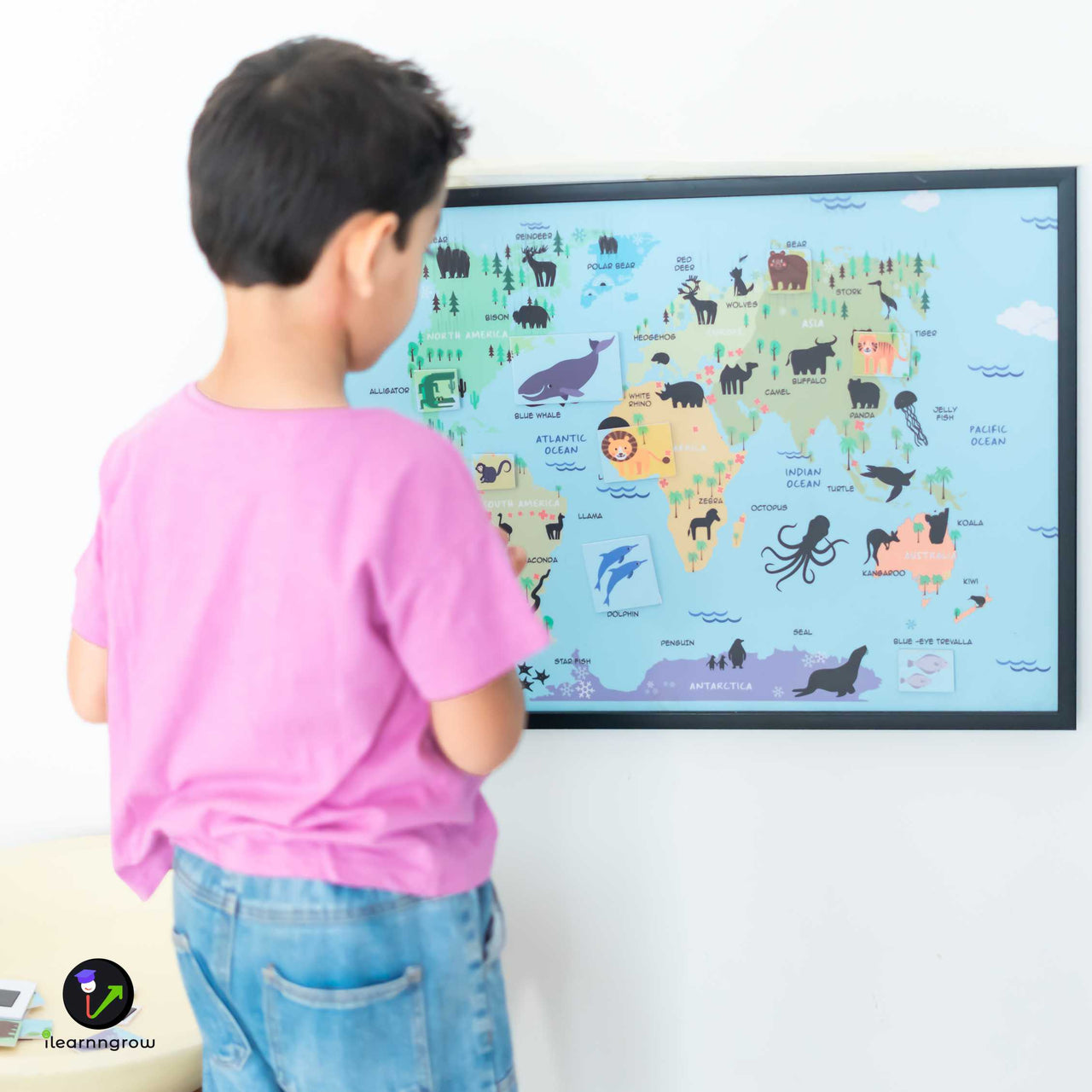 ilearnngrow - Animals found in the Continent Magnetic board