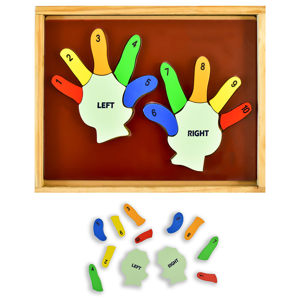 Learn the Counting - Left Hand and Right Hand
