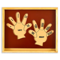 Thumbnail for Learn the Counting - Left Hand and Right Hand